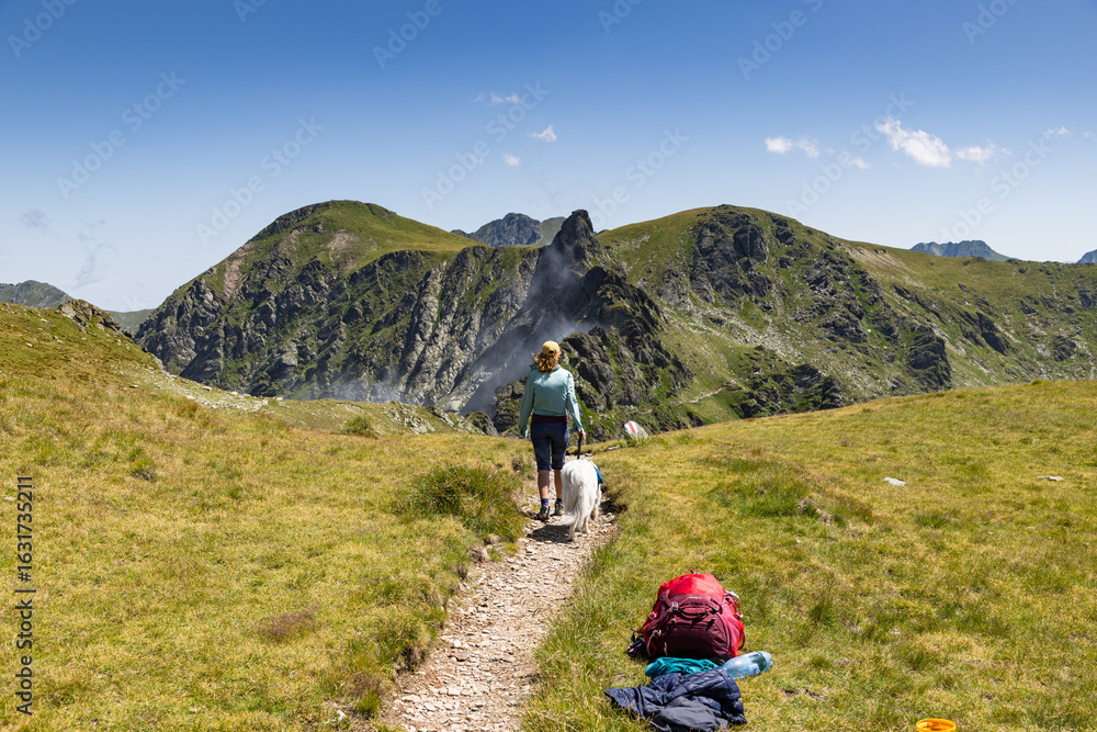 Fototapeta premium trekking with a dog in hogh mountains