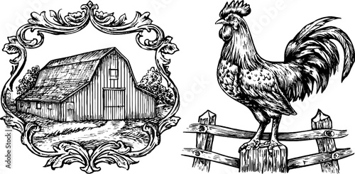 Rustic farm scenery with barn and rooster sketch engraving for vintage design