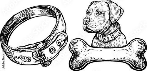 Vintage dog and bone set – hand drawn engraving for retro design