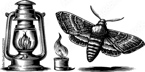 Vintage lantern and moth engraving illustration for retro design and decoration