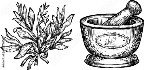 Vintage engraved illustration of mortar and pestle with herbal leaves for retro designs