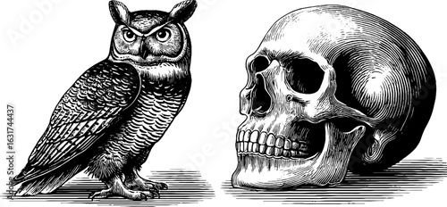 Hand drawn owl and skull vintage engraved illustration set for retro design