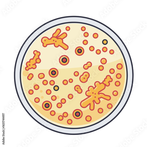 Close-up view of a petri dish filled with colorful bacteria cultures, showcasing scientific exploration