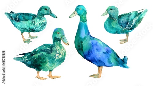 Duck from a splash of watercolor, colored drawing, realistic. Vector illustration of paints