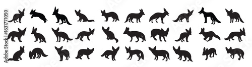 fennec fox silhouette illustration 