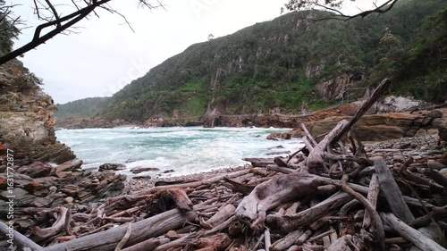 Driftwood washed up on rocky beach at Storms River Mouth, Tsitsikamma. Riser