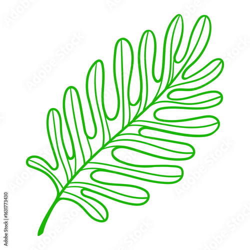 Linear palm leaf. Decorative image of tropical foliage and plant.