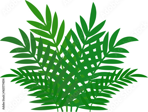 cannabis leaf vector illustration. Green Bush Foliage Corner. Fern bush