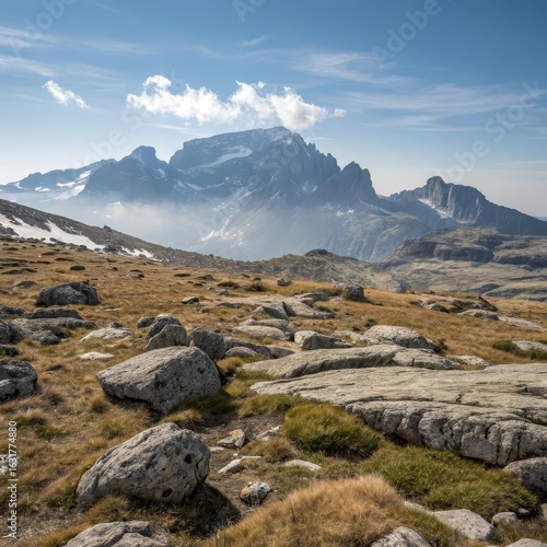 High Altitude Rocky Plateau with Sparse Alpine Vegetation and Distant Snow-Capped Mountain Range under Clear Sky – Rugged Wilderness Landscape Scene