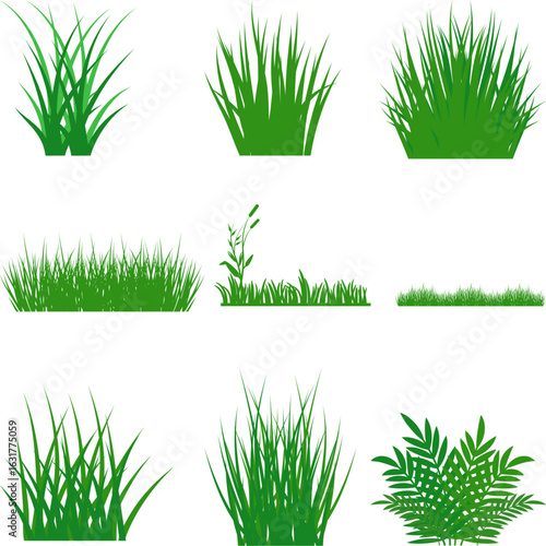 Set of green grass vector. Green grass side view icon set. Set of green grass line cad. Ground cover. Illustration for elevation architectural element, side view, grass section vector