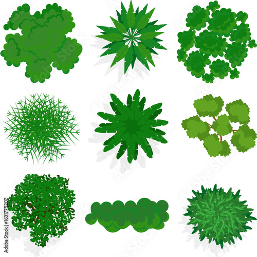 Green tree top view icon set. set of green trees. Forest top view set. Top view tree set, aerial forest foliage vector, overhead garden tree collection, landscape design element. 