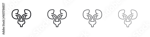 Urology icon
