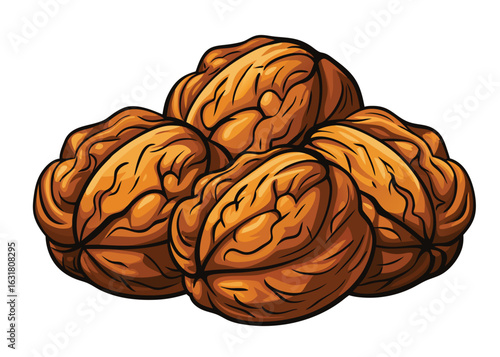 Walnuts drawing vector illustration healthy food design element organic nut nutrition
