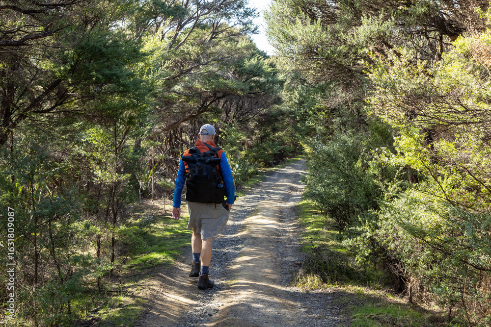 Naklejka premium A man hikes a gravel path through native bush in New Zealand. He wears a backpack and casual clothing. He is enjoying the outdoors and getting exercise.