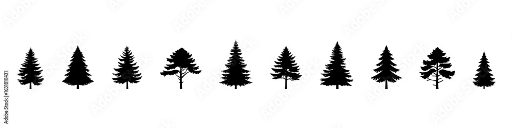Fototapeta premium Set of Coniferous Tree templates in solid style. Black forest silhouettes variations. Pine, spruce, fir, labels. Isolated on white background