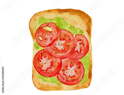 A slice of toast with fresh-looking slices of tomato and green avocado in watercolor style