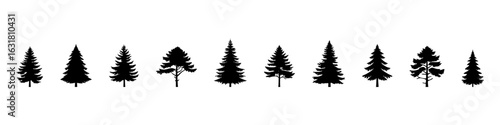 Set of Coniferous Tree templates in solid style. Black forest silhouettes variations. Pine, spruce, fir, labels. Isolated on white background