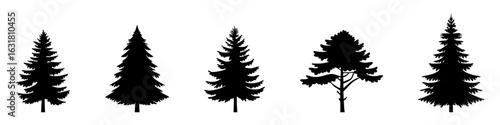 Set of Coniferous Tree templates in solid style. Black forest silhouettes variations. Pine, spruce, fir, labels. Isolated on white background