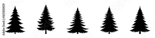Set of Coniferous Tree templates in solid style. Black forest silhouettes variations. Pine, spruce, fir, labels. Isolated on white background