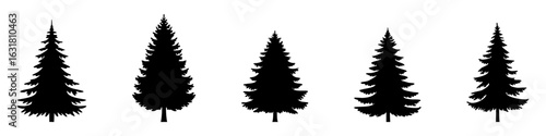 Set of Coniferous Tree templates in solid style. Black forest silhouettes variations. Pine, spruce, fir, labels. Isolated on white background