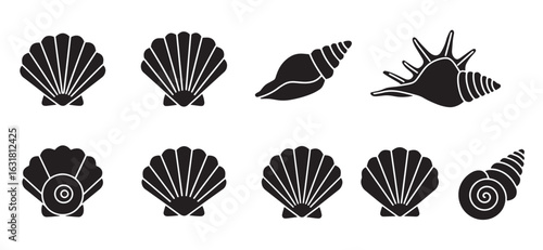 Black silhouette illustrations of seashells in various styles representing different ocean marine life