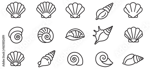 Elegant line art illustrations of various seashells and conch shells in simple outlines