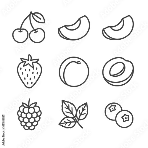 Summer Fruit Icons. Line style icons of Summer Fruit Basket: cherry, peach wedge, nectarine slice, strawberry half, pluot, apricot