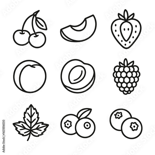 Summer Fruit Icons. Line style icons of Summer Fruit Basket: cherry, peach wedge, nectarine slice, strawberry half, pluot, apricot