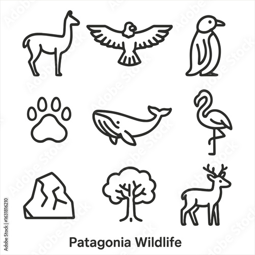 Patagonia Wildlife Icons. Line style icons of Patagonia Wildlife: guanaco silhouette, Andean condor, Magellanic penguin, puma paw,