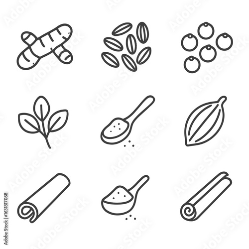 Indian Spice Icons. Line style icons of Indian Curry Spices: turmeric root, cumin seed, coriander seed, mustard seed, fenugreek