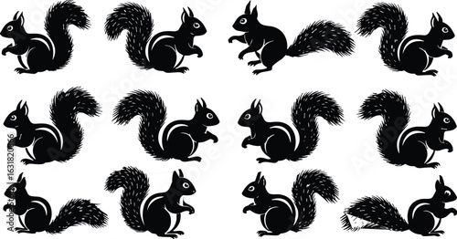 Black silhouette squirrel illustration set, isolated forest animal icons, bushy tail rodents, vector cartoon style, woodland wildlife design elements