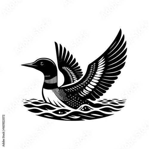 Illustration of a loon isolated on white background, vector style image