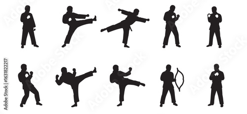 Martial arts fighters in various poses silhouettes on white background for design elements