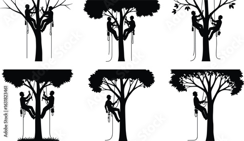 Arborist tree climbing silhouette vector set – tree workers with ropes and gear in trees