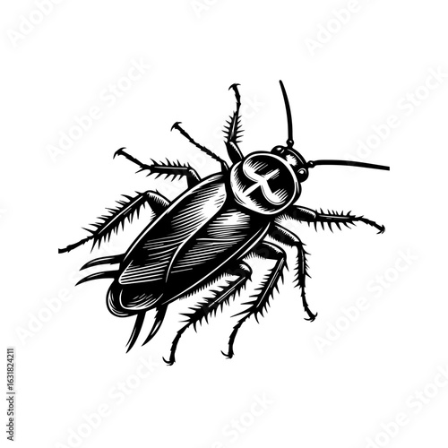Vector art of cockroach isolated on white background, a common household pest