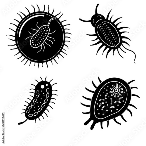 Illustration of four different types of bacteria and microorganisms in black and white simple design