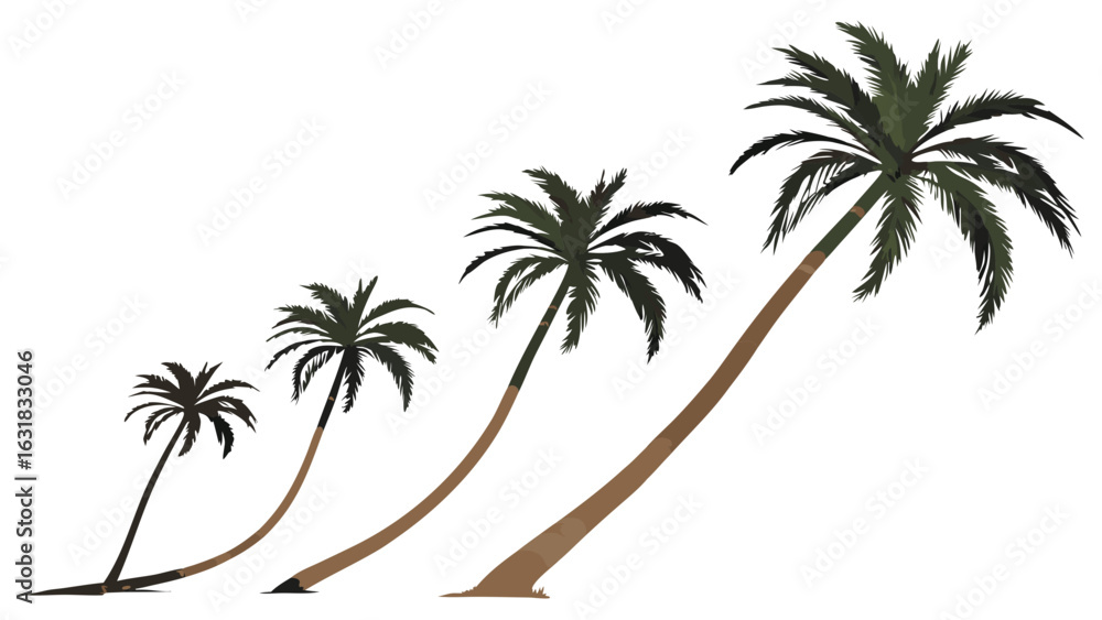 Obraz premium Four Palm Trees in Varying Stages of Growth.