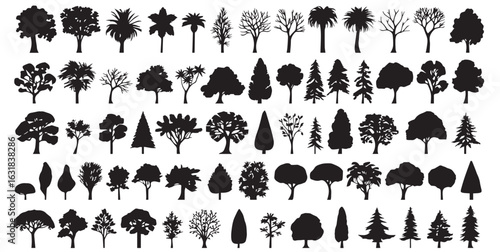 Whimsical tree doodle icon set featuring hand-drawn black and white sketches of apple, palm, pine, willow, bamboo, maple, oak, and cypress trees. Cute cartoon-style illustrations perfect for nature, f