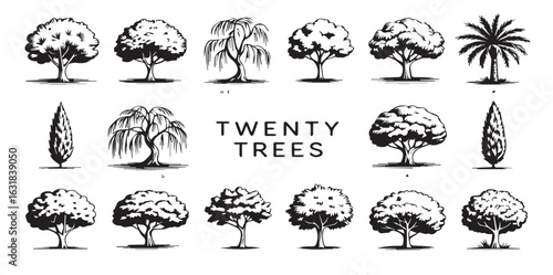 Whimsical tree doodle icon set featuring hand-drawn black and white sketches of apple, palm, pine, willow, bamboo, maple, oak, and cypress trees. Cute cartoon-style illustrations perfect for nature, f