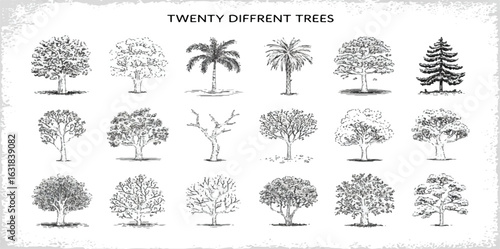 Whimsical tree doodle icon set featuring hand-drawn black and white sketches of apple, palm, pine, willow, bamboo, maple, oak, and cypress trees. Cute cartoon-style illustrations perfect for nature, f