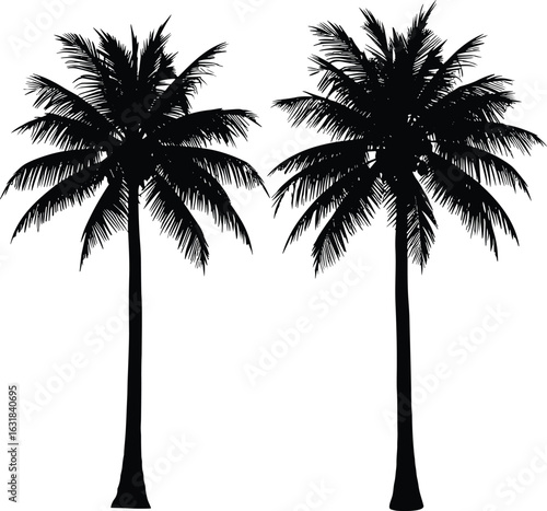Palm tree silhouette, tropical palm trees, black and white nature, exotic palm leaves, tropical landscape, island trees, beach palms, summer nature illustration, vector art, tropical scenery