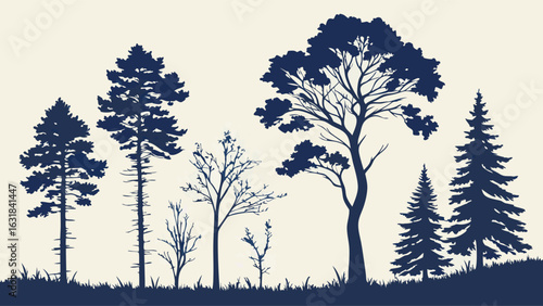 Silhouetted Trees of Various Shapes and Sizes in a Forest.