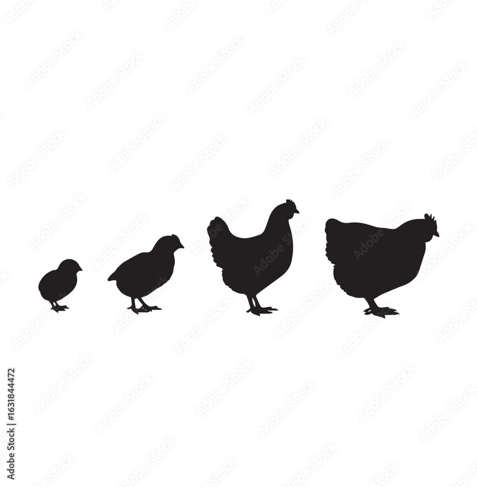 Silhouette of a hen transforming Silhouette of a hen transforming