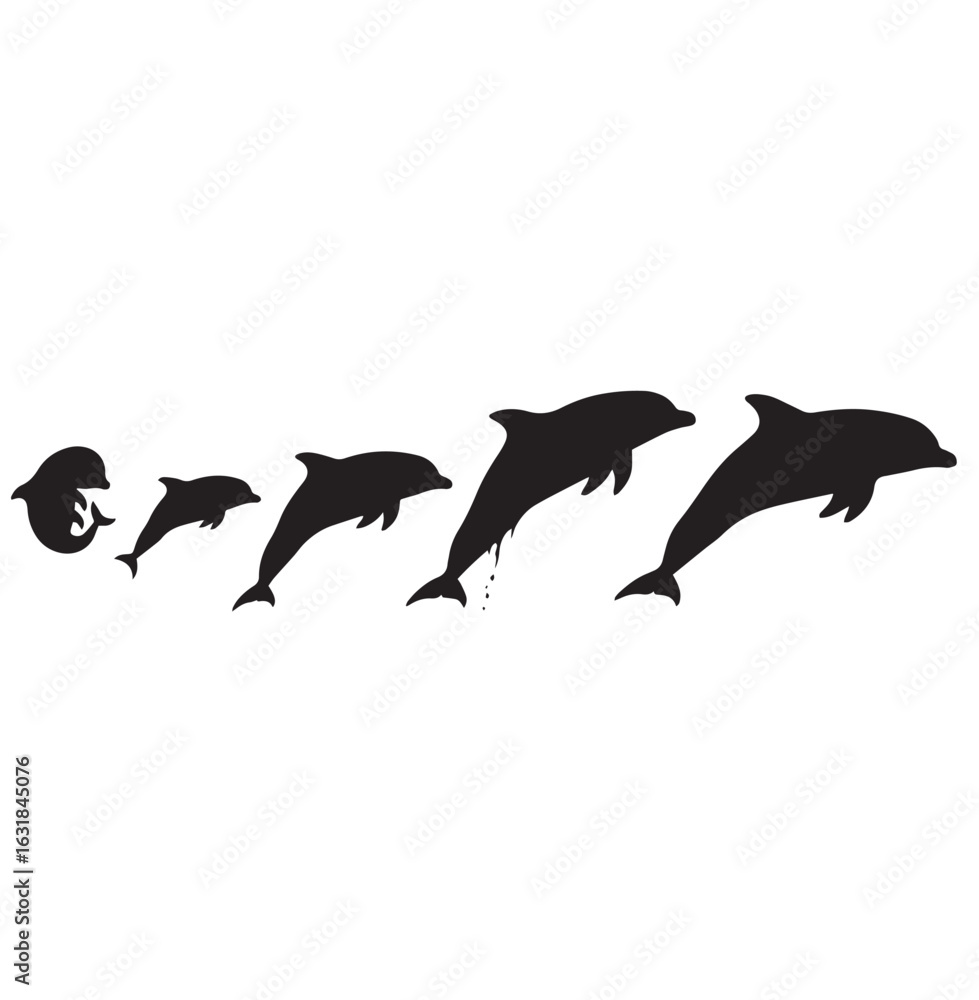 Fototapeta premium Dolphin silhouette