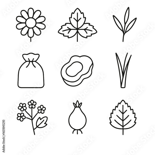 Herbal Infusions Icons. Outline style icon of Herbal Infusions: chamomile bloom, peppermint leaf, rooibos twig, lavender sachet,