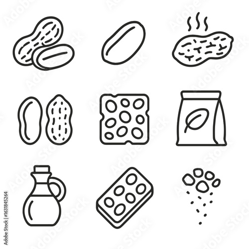 Peanut Icon Collection. Outline style icon of Peanut Collection: raw peanut, roasted peanut, boiled peanut, peanut shell halves,