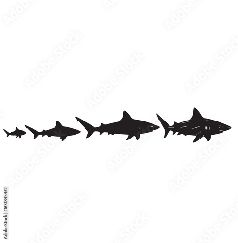 Shark silhouette