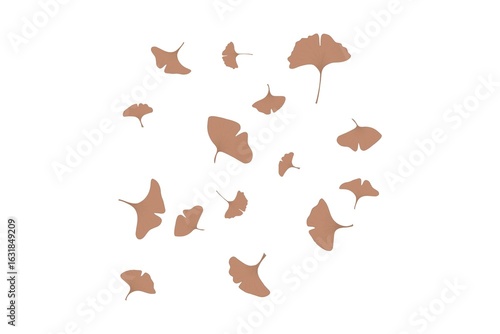 Ginko biloba leaves vector illustration 