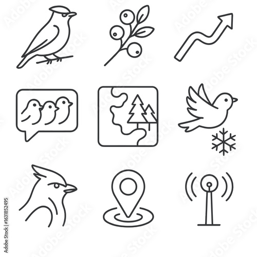 Migratory Bird Icons. Outline style icons of Migratory Birds: cedar waxwing, berry branch snack, irruption wave arrow, seasonal