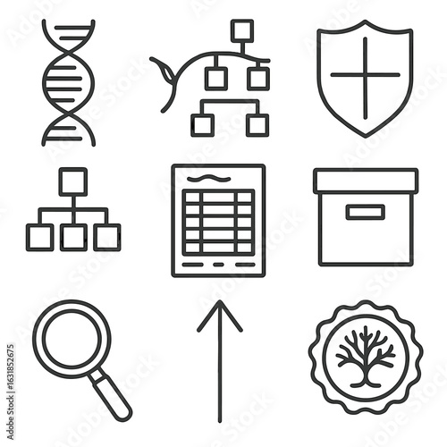 Memory Icons Collection. Outline style icons of Memory: DNA helix strand, ancestral tree branch, family crest shield, genealogy